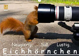 Kalender Eichhörnchen (Wandkalender 2022 DIN A3 quer) von Ralph Reichert