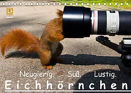 Kalender Eichhörnchen (Tischkalender 2022 DIN A5 quer) von Ralph Reichert