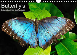 Kalender Butterfly's - Schmetterlinge für Zuhause (Wandkalender 2022 DIN A4 quer) von Uwe Bade