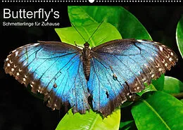 Kalender Butterfly's - Schmetterlinge für Zuhause (Wandkalender 2022 DIN A2 quer) von Uwe Bade