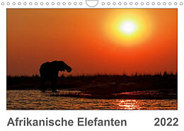 Kalender Afrikanische Elefanten (Wandkalender 2022 DIN A4 quer) von Gerald Wolf