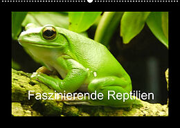 Kalender Faszinierende Reptilien (Wandkalender 2022 DIN A2 quer) von Sven Herkenrath