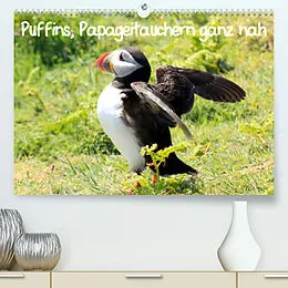 Kalender Puffins, Papageitauchern ganz nah (Premium, hochwertiger DIN A2 Wandkalender 2022, Kunstdruck in Hochglanz) von Natascha Valder