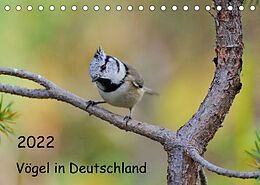 Kalender Vögel in Deutschland (Tischkalender 2022 DIN A5 quer) von Karin Jähne