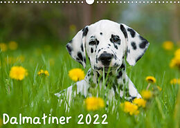 Kalender Dalmatiner 2022 (Wandkalender 2022 DIN A3 quer) von Judith Dzierzawa