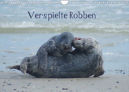 Kalender Verspielte Robben (Wandkalender 2022 DIN A4 quer) von kattobello