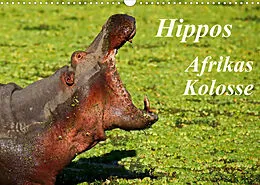 Kalender Hippos - Afrikas Kolosse (Wandkalender 2022 DIN A3 quer) von Wibke Woyke