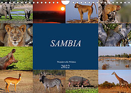 Kalender Sambia - wundervolle Wildnis (Wandkalender 2022 DIN A4 quer) von Wibke Woyke