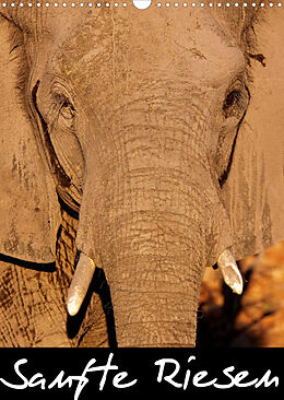 Kalender Sanfte Riesen - Afrikas Elefanten (Wandkalender 2022 DIN A3 hoch) von Wibke Woyke