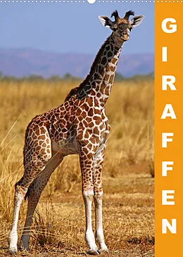 Kalender Giraffen - Afrikas Größen (Wandkalender 2022 DIN A2 hoch) von Wibke Woyke