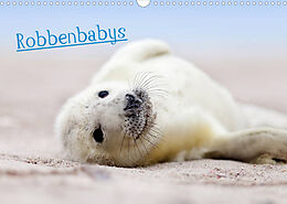 Kalender Robbenbabys (Wandkalender 2022 DIN A3 quer) von Jenny Sturm