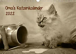 Kalender Oma's Katzenkalender 2022 (Wandkalender 2022 DIN A3 quer) von Sylvia Säume
