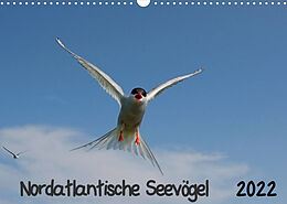 Kalender Nordatlantische Seevögel (Wandkalender 2022 DIN A3 quer) von Gerald Wolf