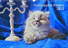 Kalender Colourpoint Katzen 2022 (Wandkalender 2022 DIN A3 quer) von Sylvia Säume