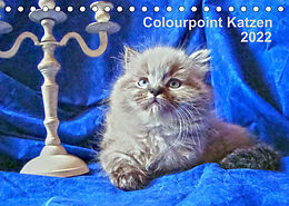 Kalender Colourpoint Katzen 2022 (Tischkalender 2022 DIN A5 quer) von Sylvia Säume