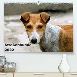 Kalender Straßenhunde (Premium, hochwertiger DIN A2 Wandkalender 2022, Kunstdruck in Hochglanz) von Antje Bakker