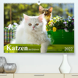 Kalender Katzen im Grünen (Premium, hochwertiger DIN A2 Wandkalender 2022, Kunstdruck in Hochglanz) von Judith Dzierzawa