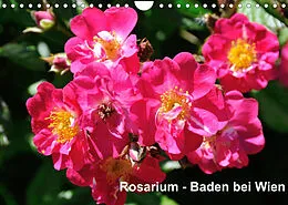 Kalender Baden bei Wien - Rosarium (Wandkalender 2022 DIN A4 quer) von Rudolf J. Strutz