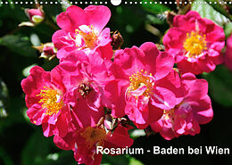 Kalender Baden bei Wien - Rosarium (Wandkalender 2022 DIN A3 quer) von Rudolf J. Strutz
