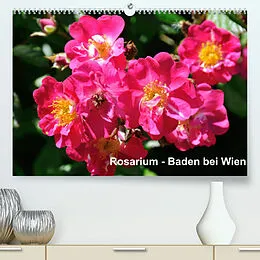 Kalender Baden bei Wien - Rosarium (Premium, hochwertiger DIN A2 Wandkalender 2022, Kunstdruck in Hochglanz) von Rudolf J. Strutz