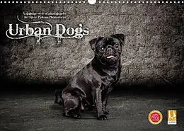 Kalender Urban Dogs - Hundekalender der anderen Art (Wandkalender 2022 DIN A3 quer) von Oliver Pinkoss Photostorys