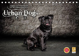 Kalender Urban Dogs - Hundekalender der anderen Art (Tischkalender 2022 DIN A5 quer) von Oliver Pinkoss Photostorys
