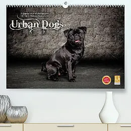 Kalender Urban Dogs - Hundekalender der anderen Art (Premium, hochwertiger DIN A2 Wandkalender 2022, Kunstdruck in Hochglanz) von Oliver Pinkoss Photostorys