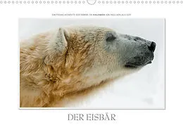 Kalender Emotionale Momente: Der Eisbär. (Wandkalender 2022 DIN A3 quer) von Ingo Gerlach GDT