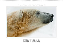 Kalender Emotionale Momente: Der Eisbär. (Wandkalender 2022 DIN A2 quer) von Ingo Gerlach GDT