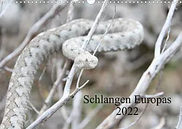 Kalender Schlangen Europas (Wandkalender 2022 DIN A3 quer) von Michael Wilms