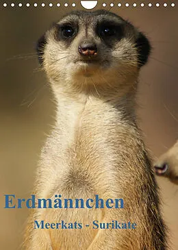 Kalender Erdmännchen-Meerkats-Surikate CH Version (Wandkalender 2022 DIN A4 hoch) von Peter Hebgen