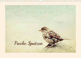 Kalender Freche Spatzen (Wandkalender 2022 DIN A3 quer) von Heike Hultsch