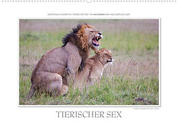 Kalender Emotionale Momente: Tierischer Sex. (Wandkalender 2022 DIN A2 quer) von Ingo Gerlach GDT