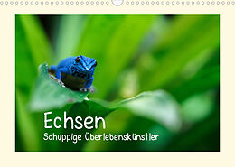 Kalender Echsen - Schuppige Überlebenskünstler (Wandkalender 2022 DIN A3 quer) von Andreas Rinke