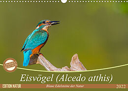 Kalender Eisvögel (Alcedo atthis) - Edelsteine der Natur (Wandkalender 2022 DIN A3 quer) von Ursula Di Chito