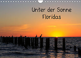 Kalender Unter der Sonne Floridas (Wandkalender 2022 DIN A4 quer) von matthias Haberstock