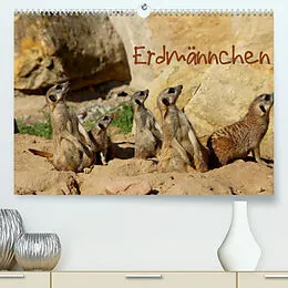 Kalender Erdmännchen (Premium, hochwertiger DIN A2 Wandkalender 2022, Kunstdruck in Hochglanz) von Heike Hultsch