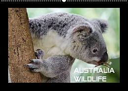Kalender Australia Wildlife (Wandkalender 2022 DIN A2 quer) von Luxscriptura by Wolfgang Schömig