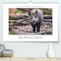 Kalender Emotionale Momente: Das Wildschwein. (Premium, hochwertiger DIN A2 Wandkalender 2022, Kunstdruck in Hochglanz) von Ingo Gerlach GDT