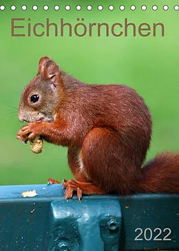 Kalender Eichhörnchen (Tischkalender 2022 DIN A5 hoch) von SchnelleWelten