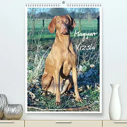Kalender Magyar Vizsla (Premium, hochwertiger DIN A2 Wandkalender 2022, Kunstdruck in Hochglanz) von Barbara Mielewczyk