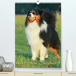 Kalender Australian Shepherd (Premium, hochwertiger DIN A2 Wandkalender 2022, Kunstdruck in Hochglanz) von Barbara Mielewczyk