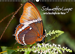Kalender Schmetterlinge - zarte Geschöpfe der Natur (Wandkalender 2022 DIN A3 quer) von Melanie Viola