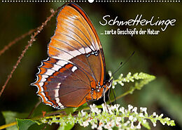 Kalender Schmetterlinge - zarte Geschöpfe der Natur (Wandkalender 2022 DIN A2 quer) von Melanie Viola