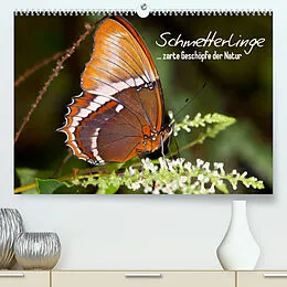 Kalender Schmetterlinge - zarte Geschöpfe der Natur (Premium, hochwertiger DIN A2 Wandkalender 2022, Kunstdruck in Hochglanz) von Melanie Viola