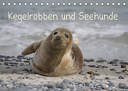 Kalender Kegelrobben und Seehunde (Tischkalender 2022 DIN A5 quer) von Antje Lindert-Rottke