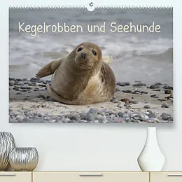 Kalender Kegelrobben und Seehunde (Premium, hochwertiger DIN A2 Wandkalender 2022, Kunstdruck in Hochglanz) von Antje Lindert-Rottke