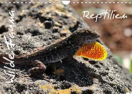 Kalender Wilde Fauna - Reptilien (Wandkalender 2022 DIN A4 quer) von Uwe Bade / Ralf Emmerich