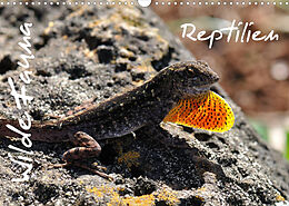 Kalender Wilde Fauna - Reptilien (Wandkalender 2022 DIN A3 quer) von Uwe Bade / Ralf Emmerich