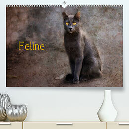 Kalender Feline (Premium, hochwertiger DIN A2 Wandkalender 2022, Kunstdruck in Hochglanz) von Claudia Möckel / Lucy L!u